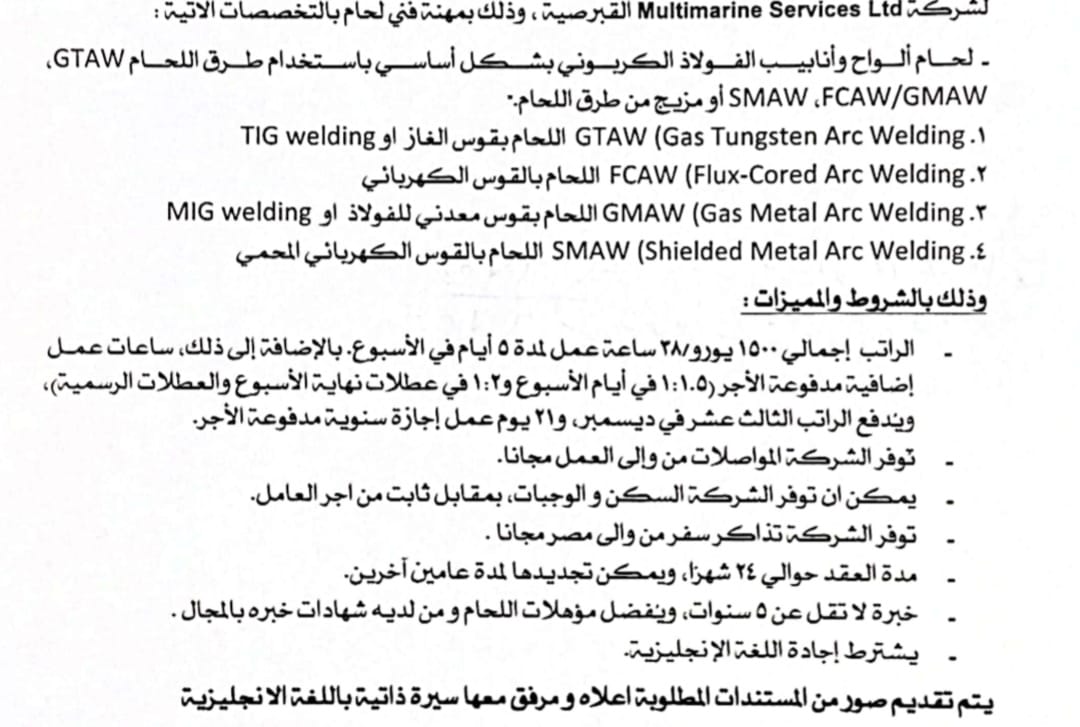 وزير القوى العامله 